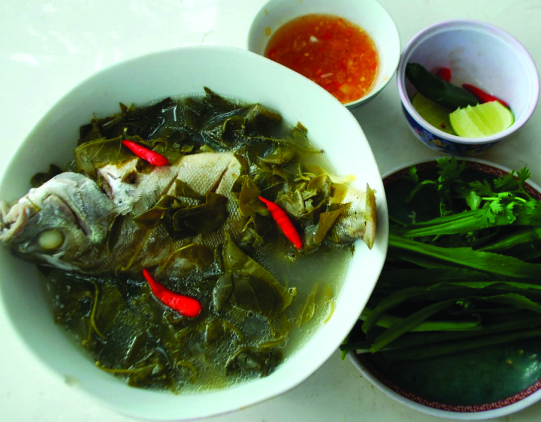 Về Sa Huỳnh  ăn canh cá căn nấu với lá giang